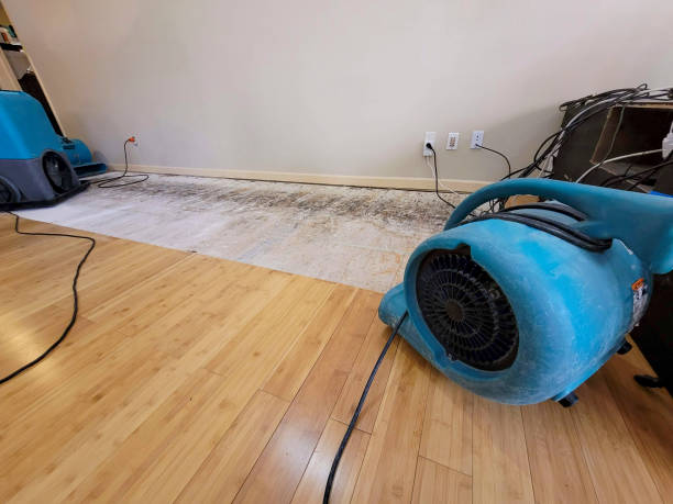 Professional Structural Drying technician working in Lutts, TN